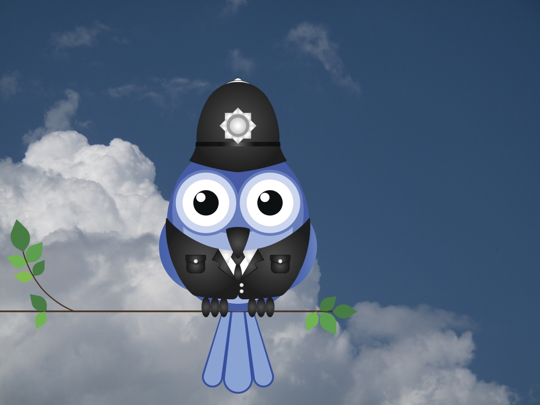 Police Bird