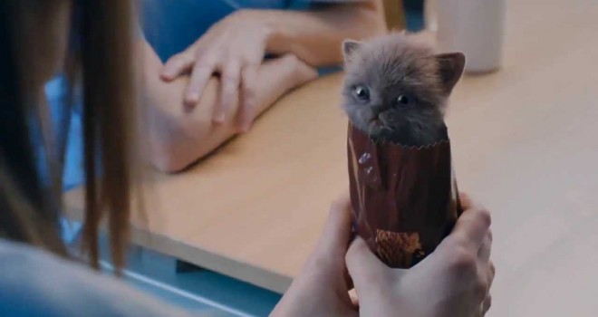 Is this the stupidest TV Ad…EVER?