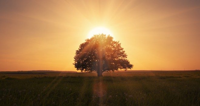 Step Inside AdWords – New Products Announced